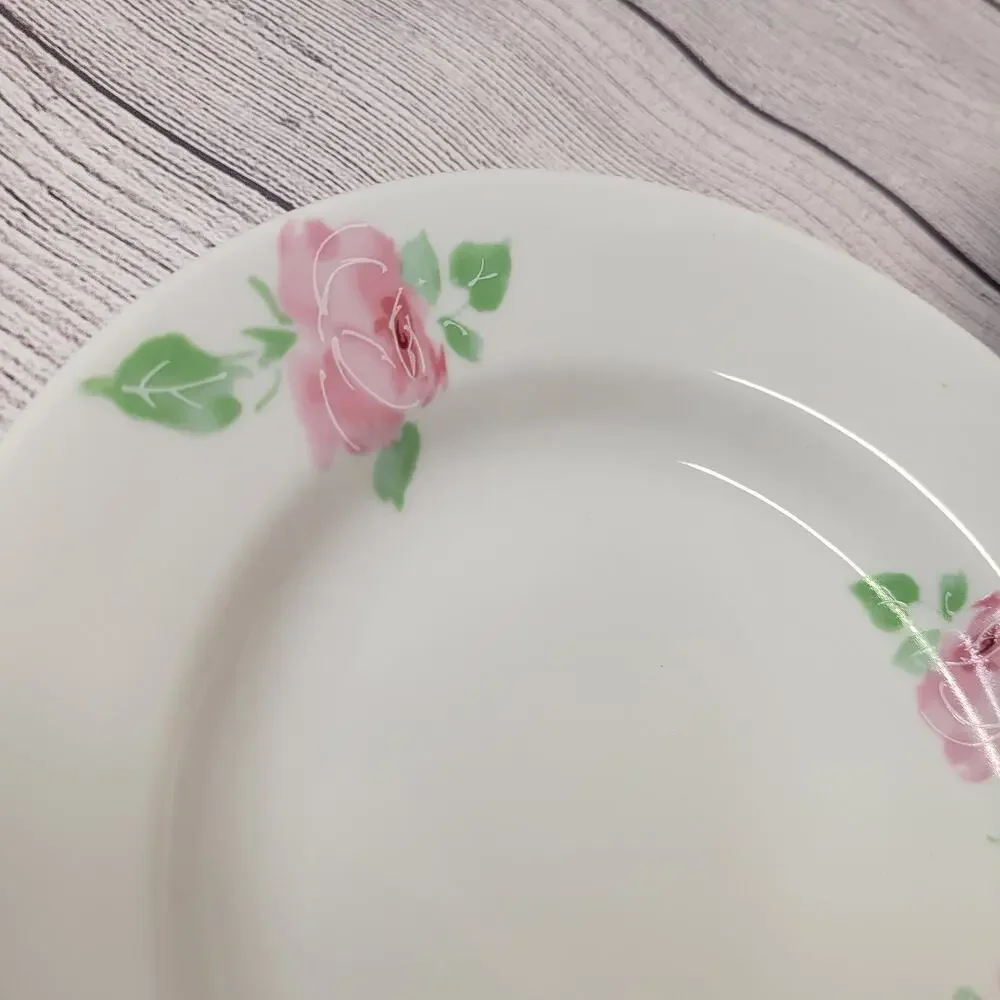 Pier 1 Vintage Rose Jardin Hand Painted China Dinner & Salad Plate Set